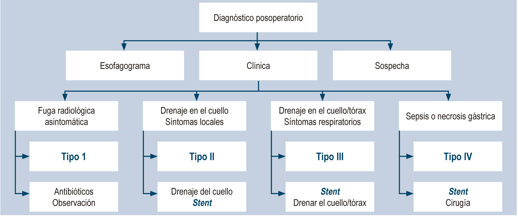 Figura 1. Algoritmo para el diagnóstico y manejo de las fístulas esofagogástricas posoperatorias
